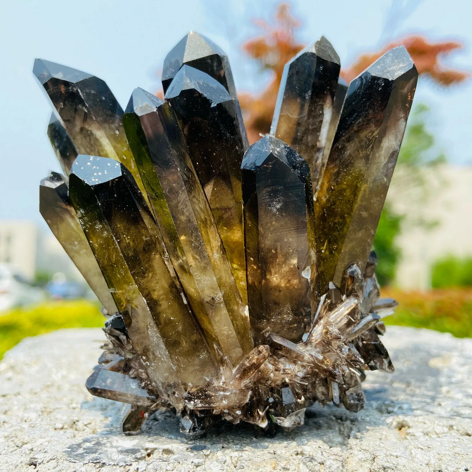 合成水晶　RM634448 Amazon.com: Matsunaga Seisakusho Silicone Processed Silver