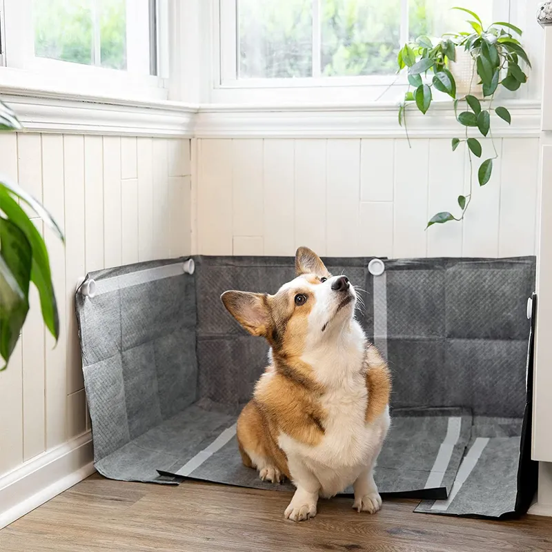 Pee pad holder with walls deals