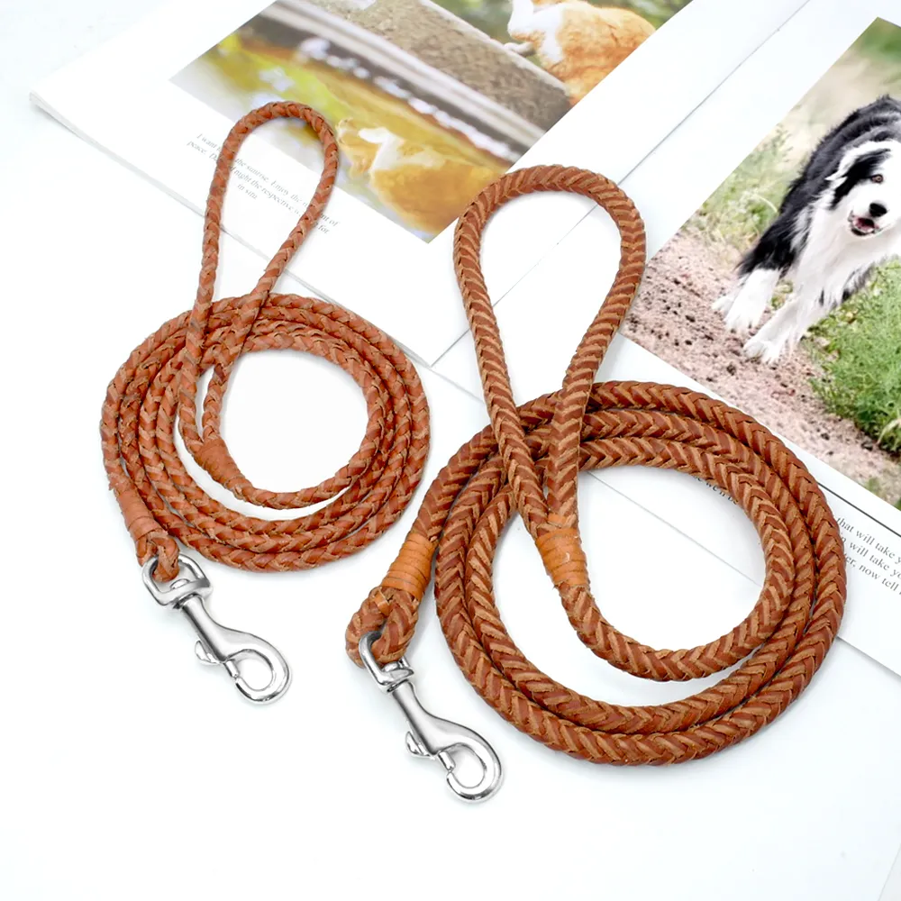 4ft leather dog leash 2025