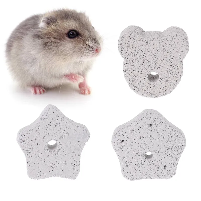 Hamster Lava Stone Natural Pumice Molar Chew Toy for Chinchillas
