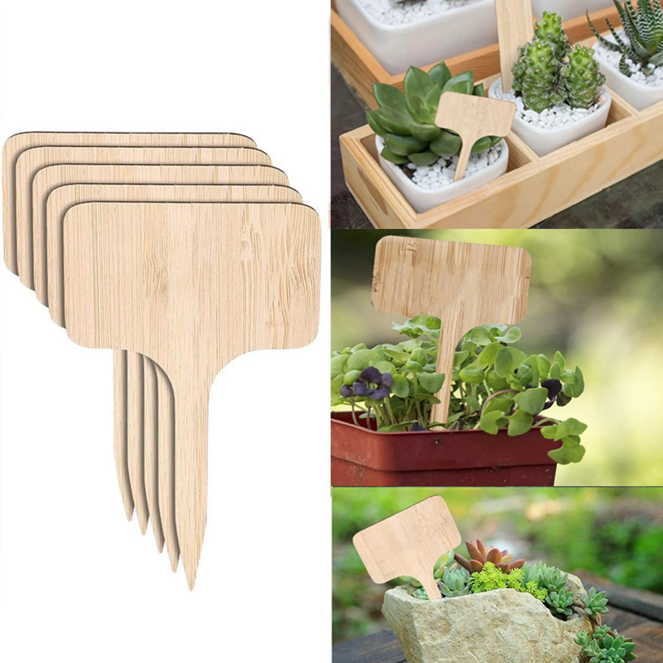 Bamboo Plant Label Markers T-Shape Stake Wooden Garden Markers for Nursery  Pots from Dhgate Garden Decorations - price 27.52