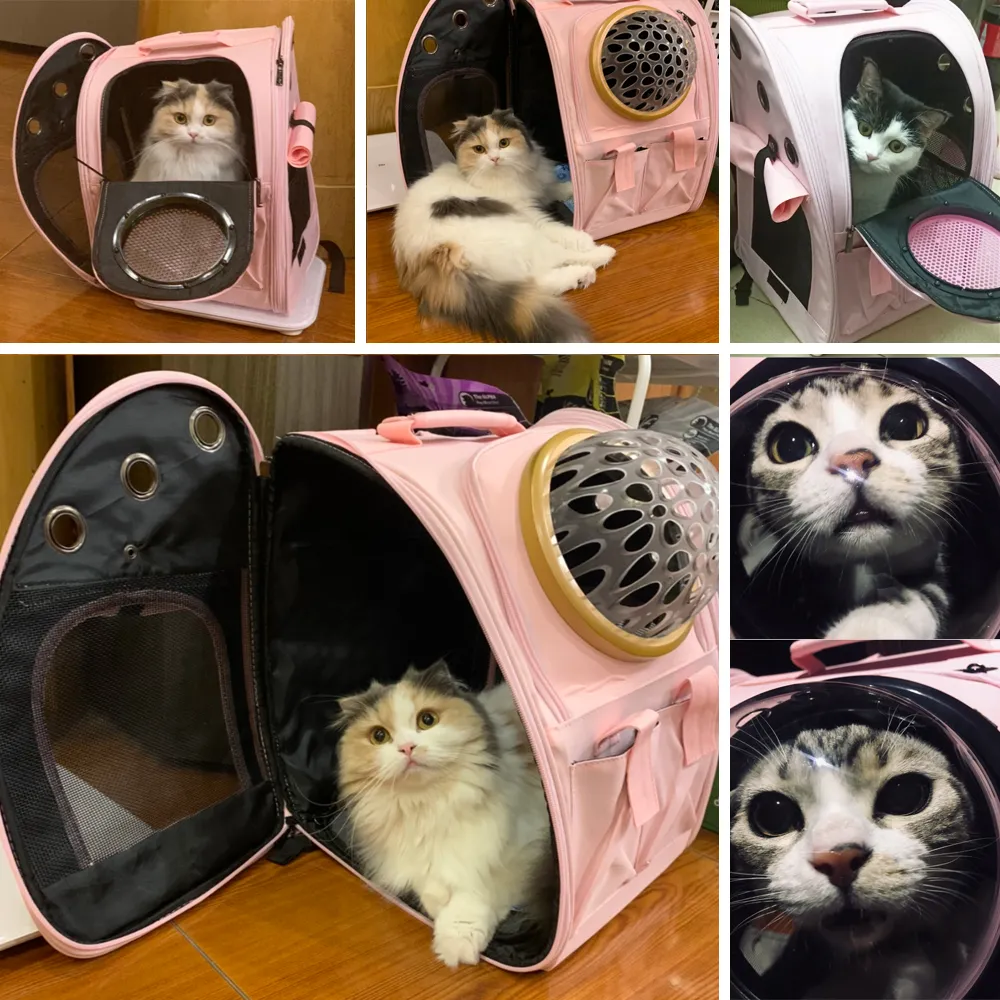 Astronaut bubble cat carrier hotsell