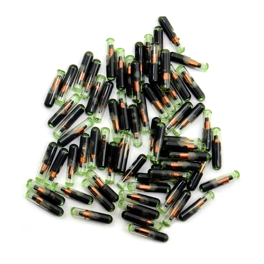 Automotive Key Blanks Wholesale ID48 Type Glass Transponder Chip For  Vehicle Key Copying T6 Crypto Unlock Compatibility From Ddmyjan, $27.75 |  DHgate.Com