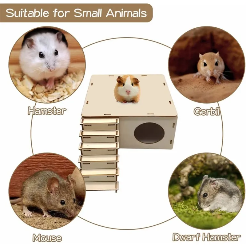 Breeds Friendliest Dwarf Hamster Friendliest Hamster Breed Types