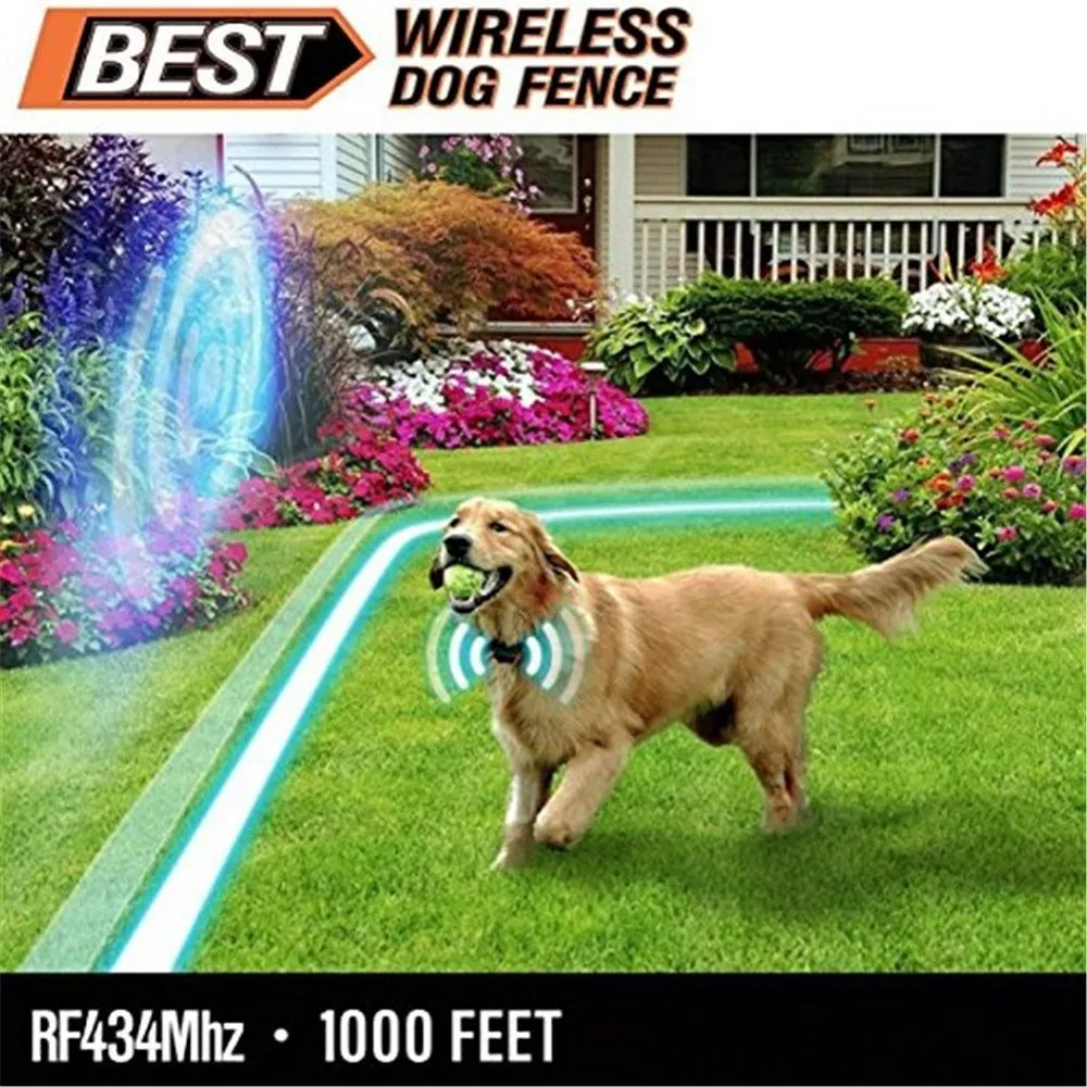 Electric Dog Fence Acre Wireless Dog Fence System