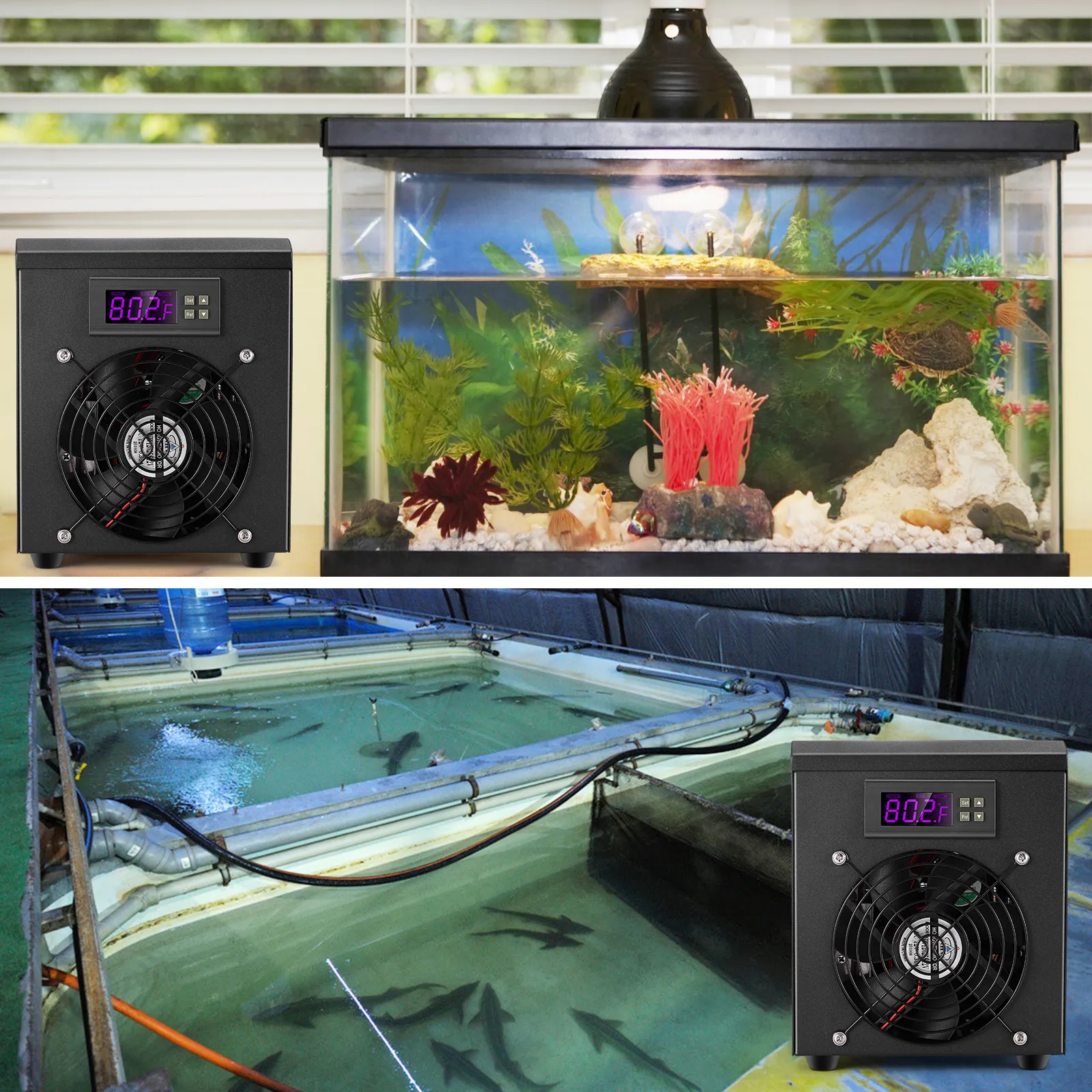 50 104 F 60L Aquarium Chiller Cooler Warmer 200 300L H Fish Tank Water Temperature Regulator for Home Fish Shrimp Coral Jellyfish