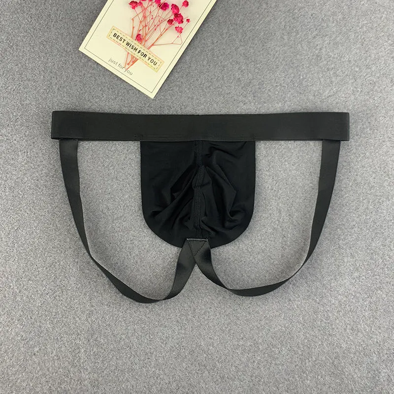 Breathable Men's Low Rise Briefs Underwear Sexy G String Panties (Purple) U