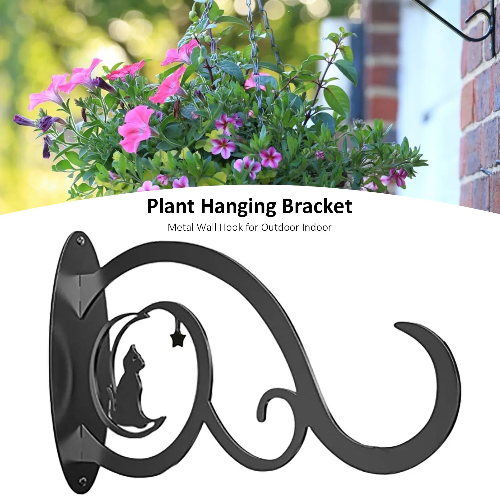 black zz plant for sale Buy Raven Black ZZ Plant main image 1