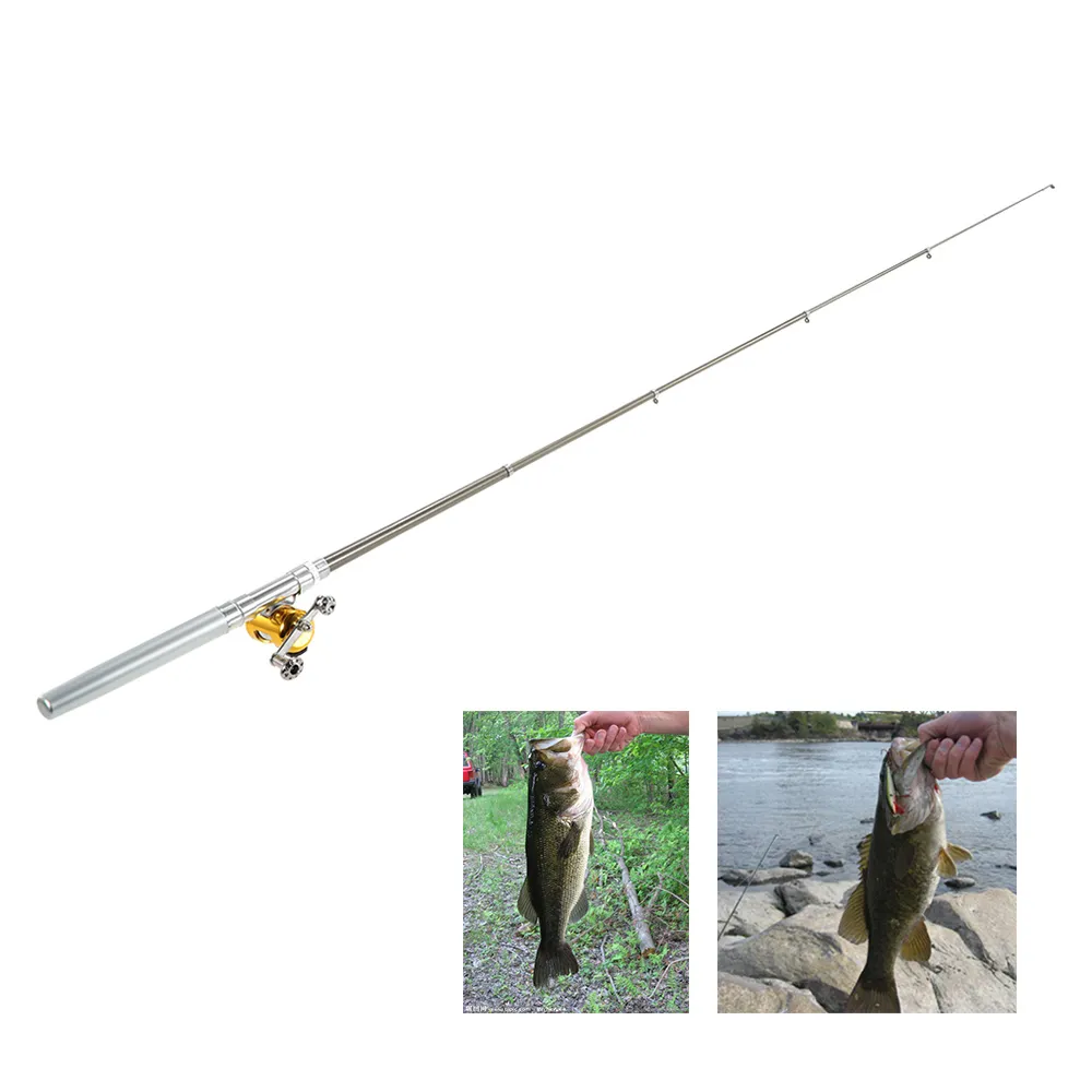 best all purpose fishing rod and reel Combo in 2023 Size:5/0 (8pk) Fishing Reel Daiwa Emblem inshore-tackle Actions are ultra light