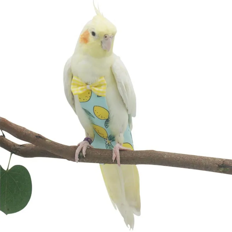 HEZHUO Bird Clothes Parrot Diapers Bird Flight Suits