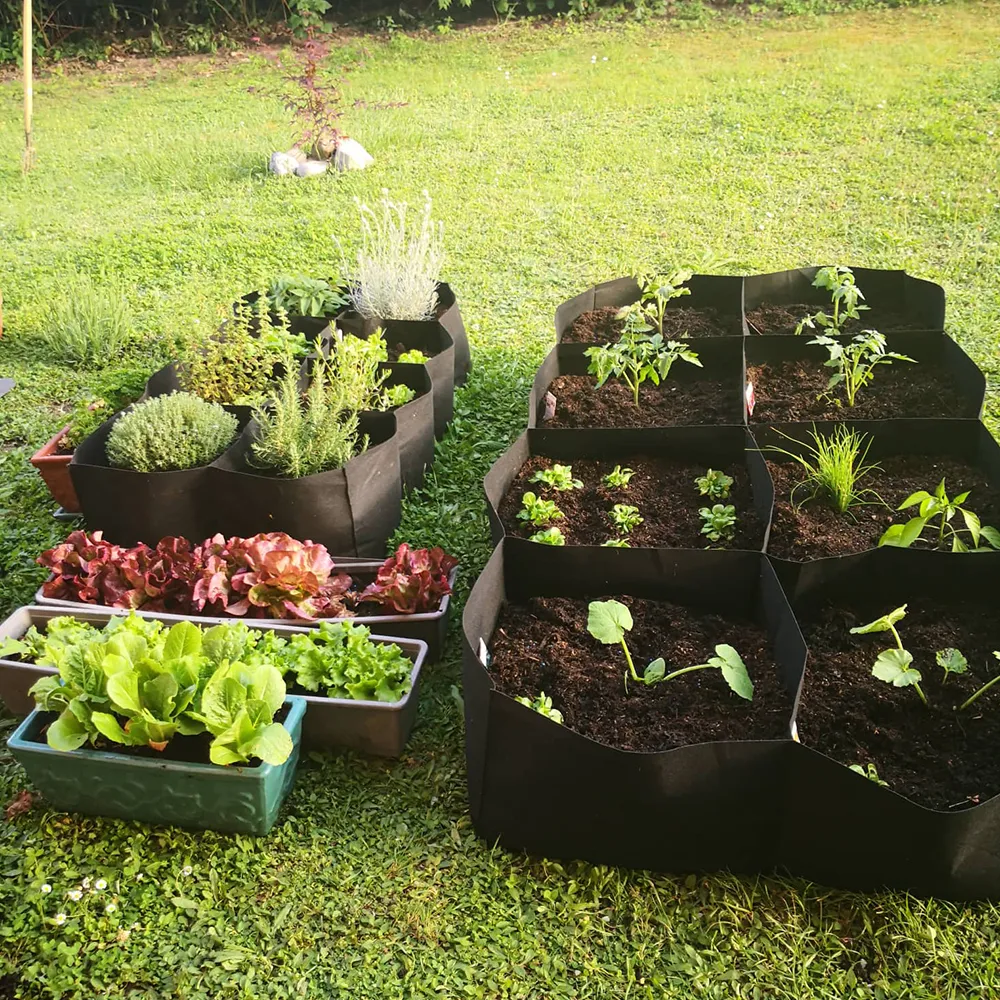Multi Grid Raised Planting Beds For Vegetables With Rectangular ...