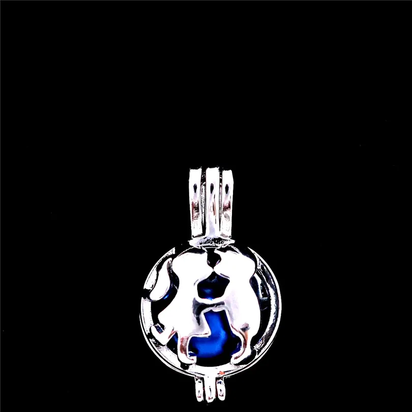 10pcs Lover's Charm Bead Cage Set Aromatherapy Diffuser Lockets for DIY  Jewelry, Keychains Gifts Bulk Openwork Pendants