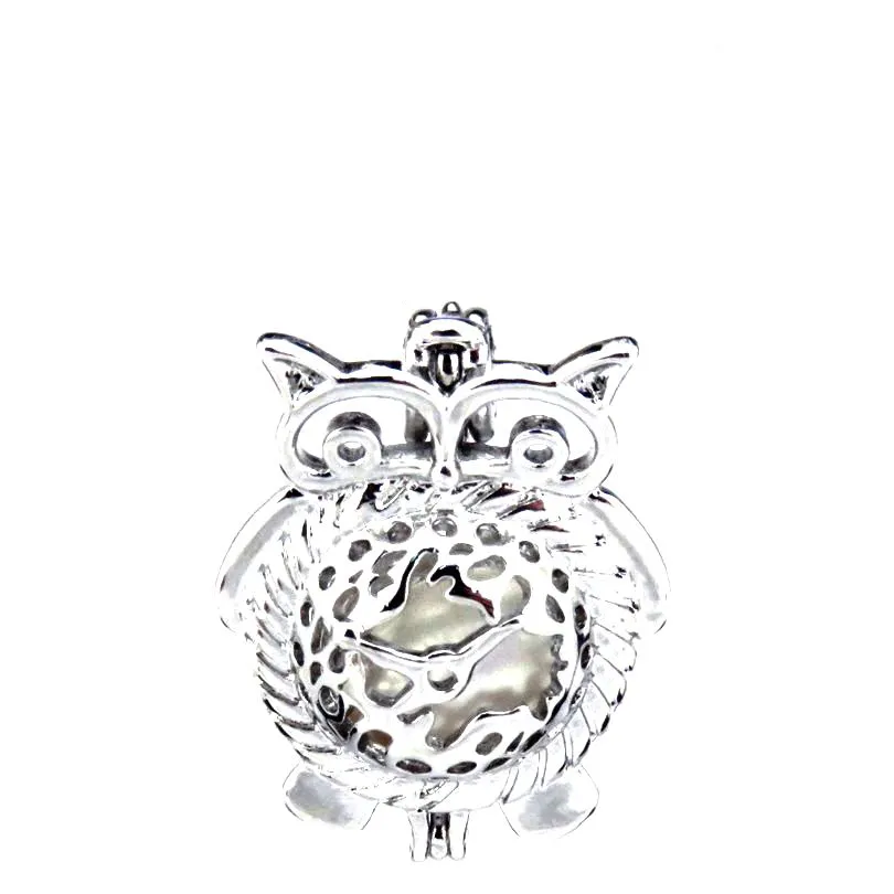 10Pcs Owl Charm Pearl Cage Lockets Aromatherapy Diffuser Pendants for DIY  Jewelry: Necklaces, Bracelets More! Jewelry Making Supplies Bulk