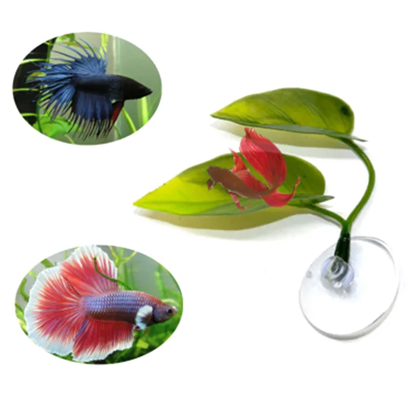 Beta Fish Hammock Leaf Mat Plastic Resting Bed For Spreading And Breeding Safe Durable 2024 Design From Factory Quanyuanfacai Bulk 10.53 DHgate.Com