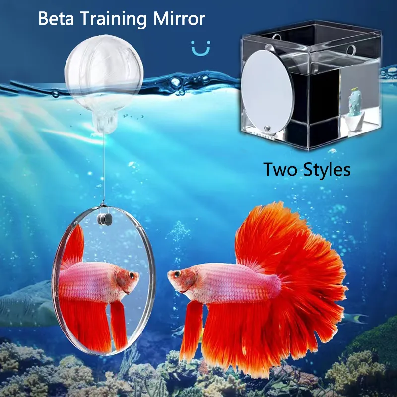 Flowerhorn tank toys new arrivals