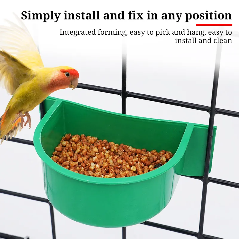 Bird Cage Food & Water Dishes: Essential Options Explained