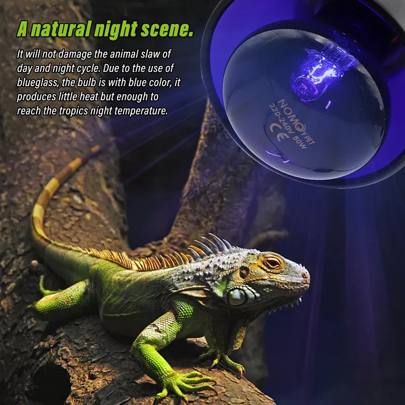 E27 Pet Heating Dino Lamp For Amphibian And Snake UV Light 25W 100W AC220 240V From Dh2764017 10.05 DHgate.Com