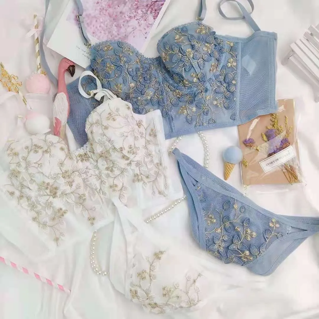 Set De Panteras De Sujetador De Encaje: Lencería Retro Sexy, Bordado De  Empuje, Ropa Interior Cómoda Para Mujeres, Boda De 13,92 € | DHgate, image size:1080x1080