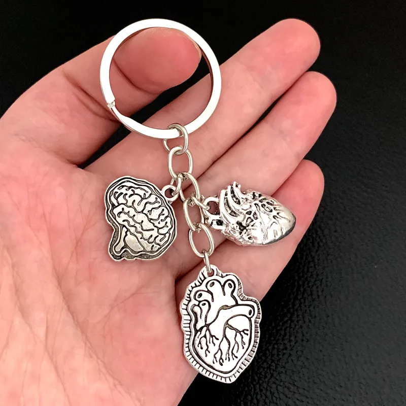 Save Big on Bulk Heart Shape Keychain Keychain Necklaces, Medical Anatomy  Keychains: Brain, Heart Nerve Cell Design Doctor Nurse Bag Charm  Jewelry