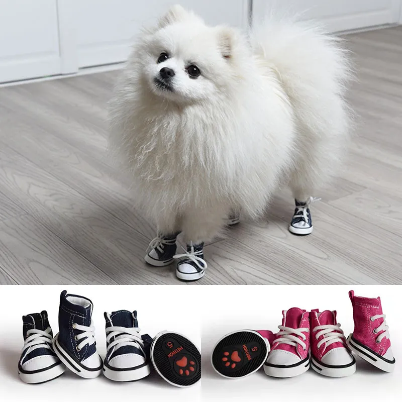 POMERANIAN CANVAS SHOES POMERANIAN CANVAS SHOES