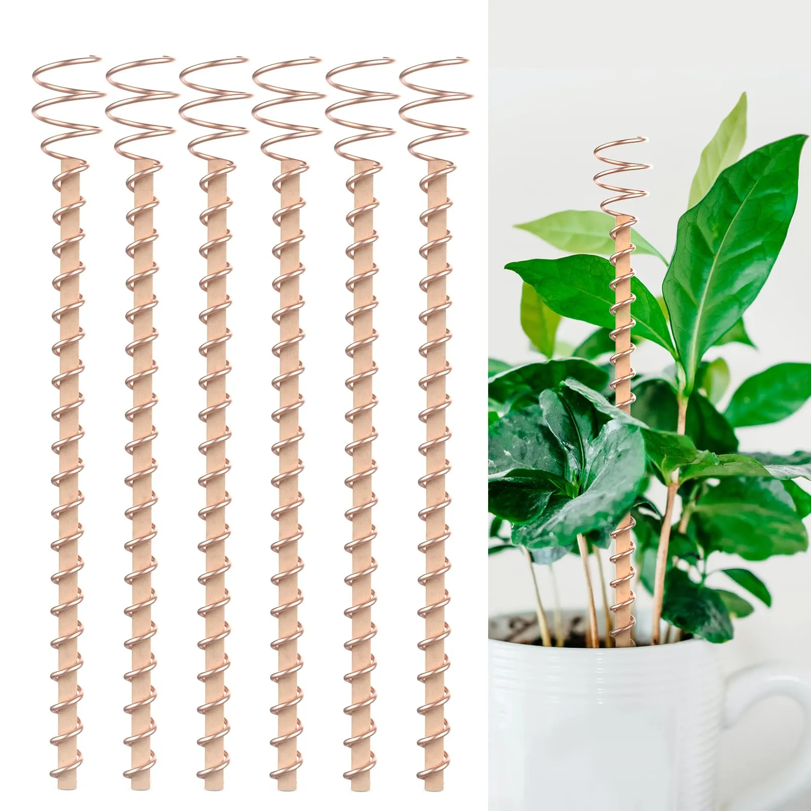 Electroculture Plant Stakes with Copper Coil Antennas for Garden Plants and  Vegetables, Wood, Mainland China from Dhgate Garden Greenhouses - price  45.67