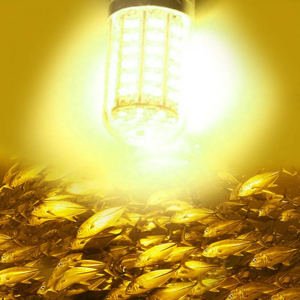 Submersible LED Fishing Light 12 24V Freshwater \u0026 Saltwater, Underwater  Night Fishing Lamp From Ddmyearth, $41.05 | DHgate.Com, image size:1000x1000