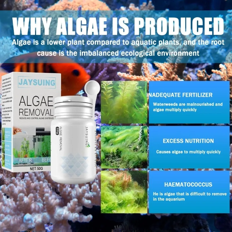 Fish Tank Algae Cleaning Tablets Effective Algaecide for Odor Removal in Aquariums