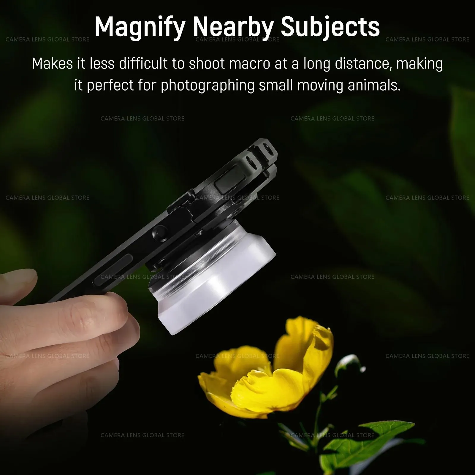 Macro Shots Galaxy S21 Ultra Macro Flower S21 Ultra Macro Shots - Main Image