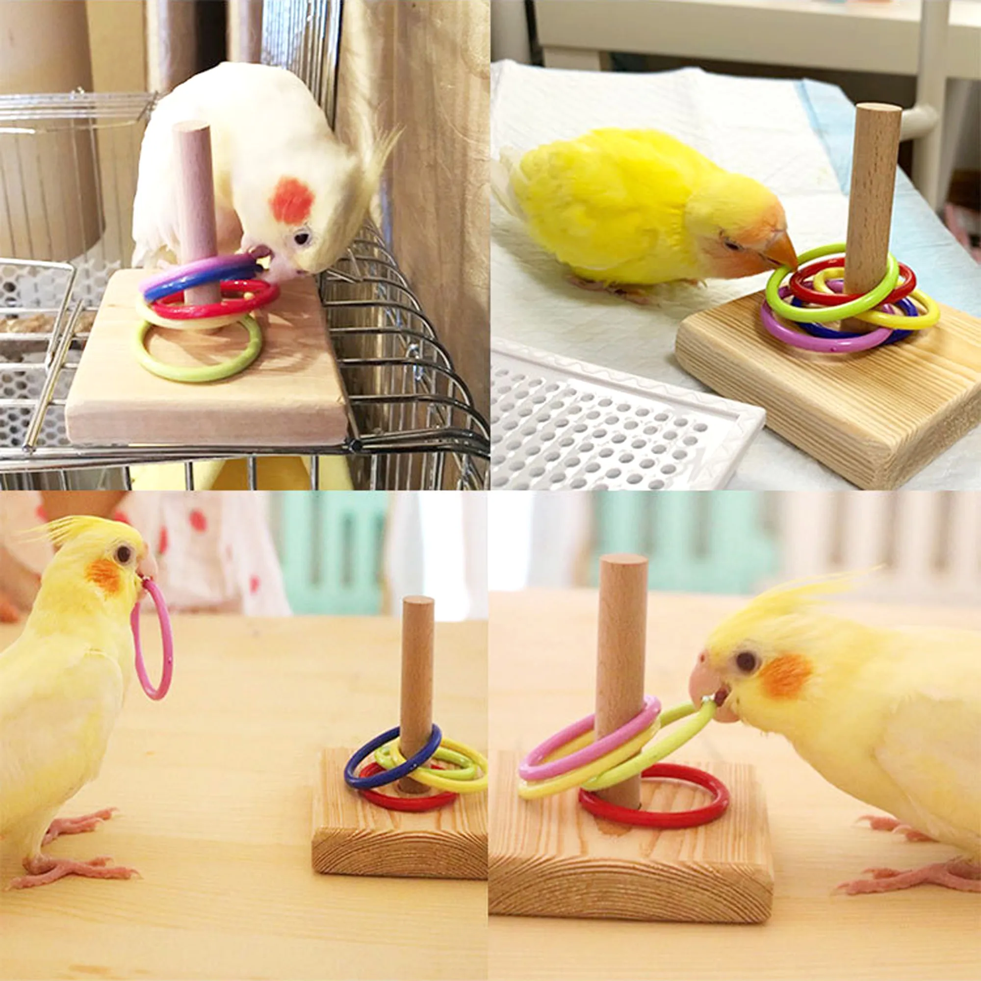 Parrot puzzle toys hotsell