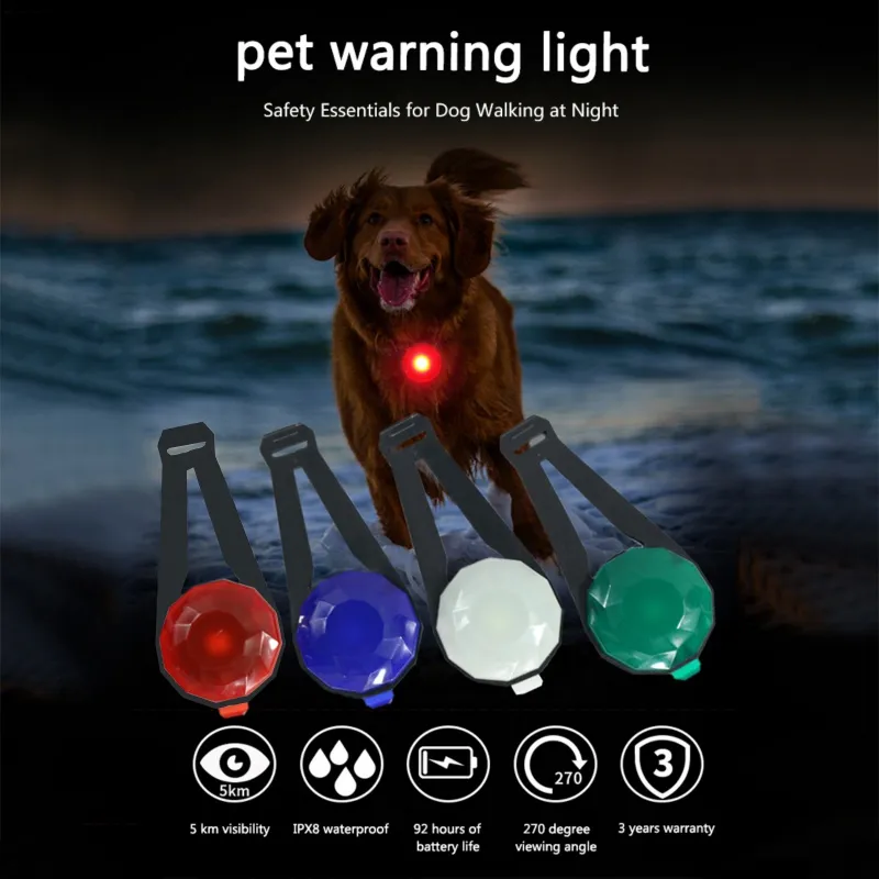 Wholesale USB Rechargeable LED Dog Safety Light Light For Night Walking Anti Lost Pet Pendant With Safety Tag From Quanyuanfacai 13.32 DHgate.Com