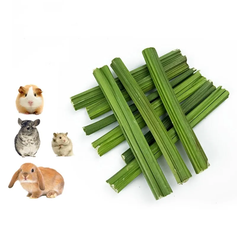 Hamster chew sticks discount