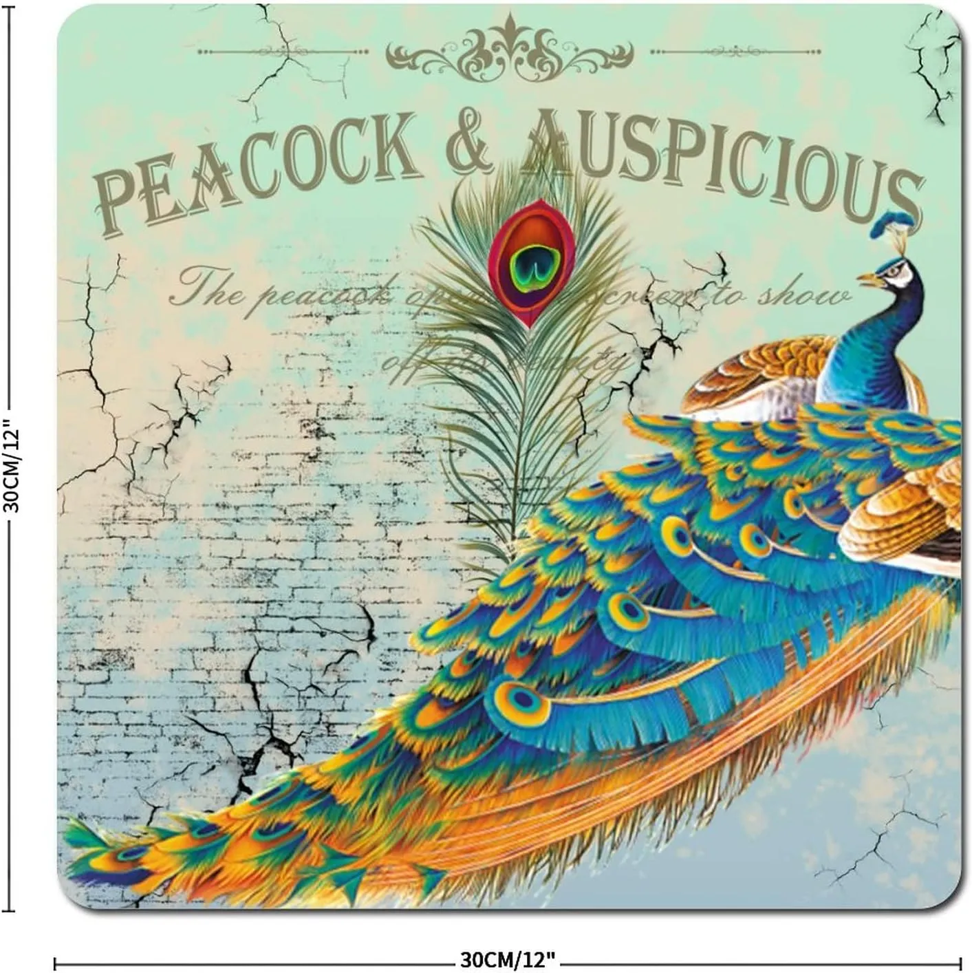 Peacock Tin Sign Decor - Retro Metal Plaque for Unique