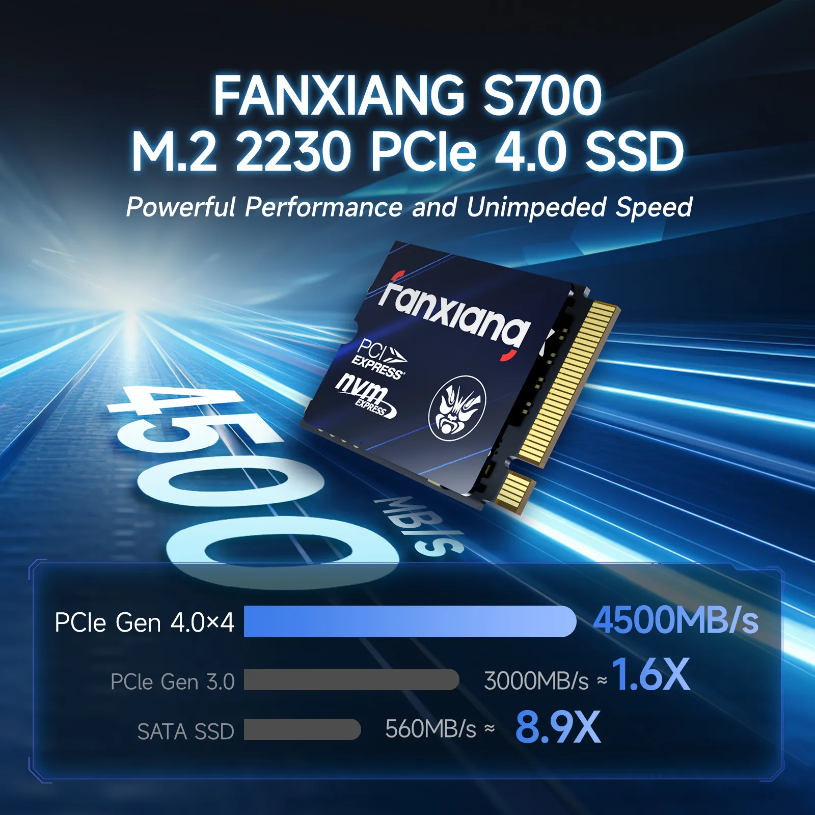内蔵型SSD ranxiana NVMe PCI Express SSD 1TB ranxiana NVMe