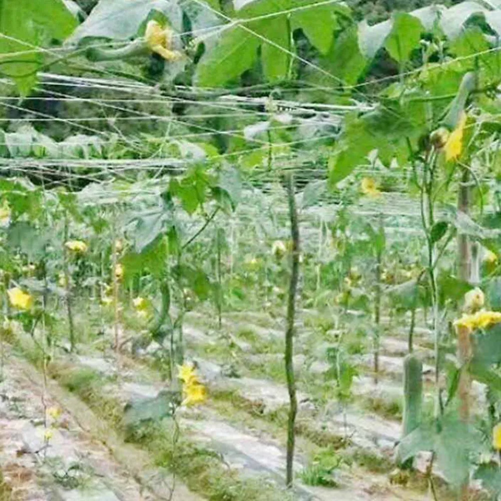Garden Net Trellis Netting 2x100m Polyester Climbing Net for Vine Fruits  and Vegetables from Dhgate Other Garden Supplies - price 87.19
