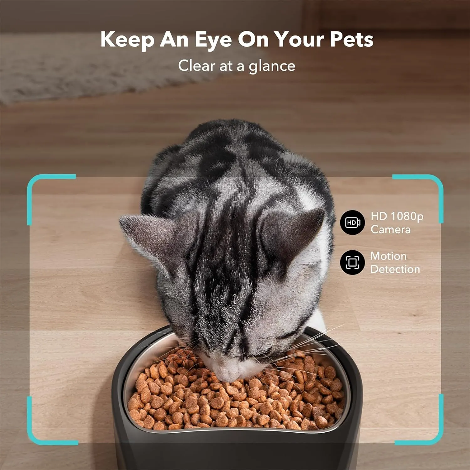 Automatic Cat Camera, 1080P HD Video Night Vision, 5G Wifi Pet Feeder With 2-Way Audio, Low Food & Blockage Sen