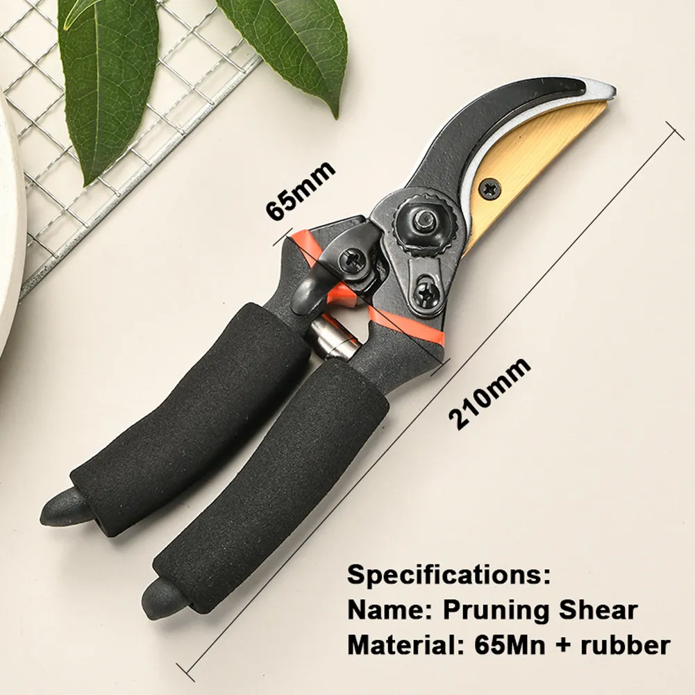 Professional Tree Cutting Scissors: Bypass Pruning Shears for Bonsai ...