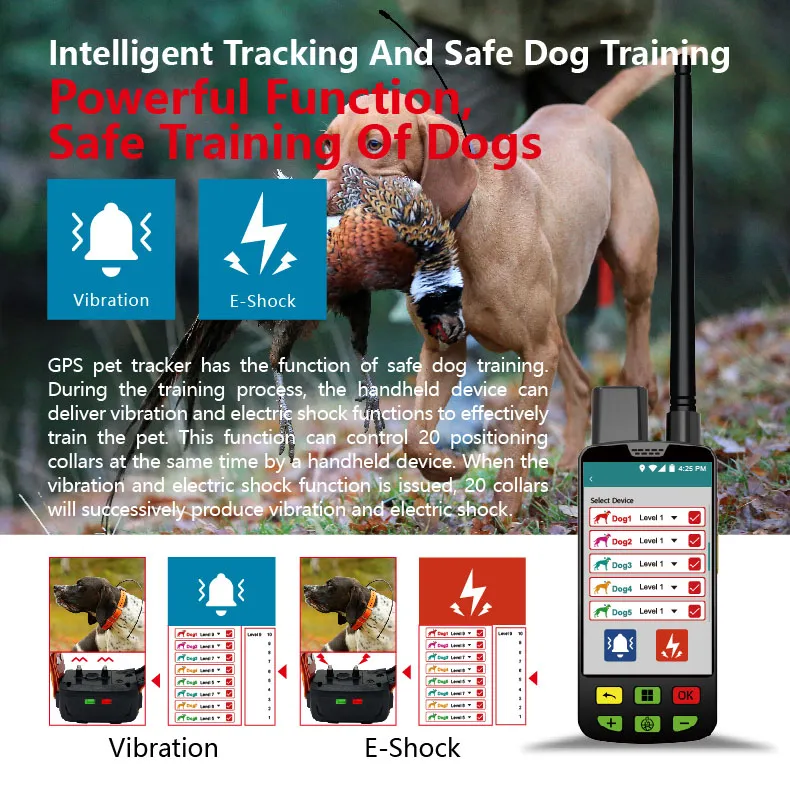 Mini Tracker GPS Étanche Pour Voiture, Enfant, Chien - Suivi En Temps Réel, Prêt à L'emploi
