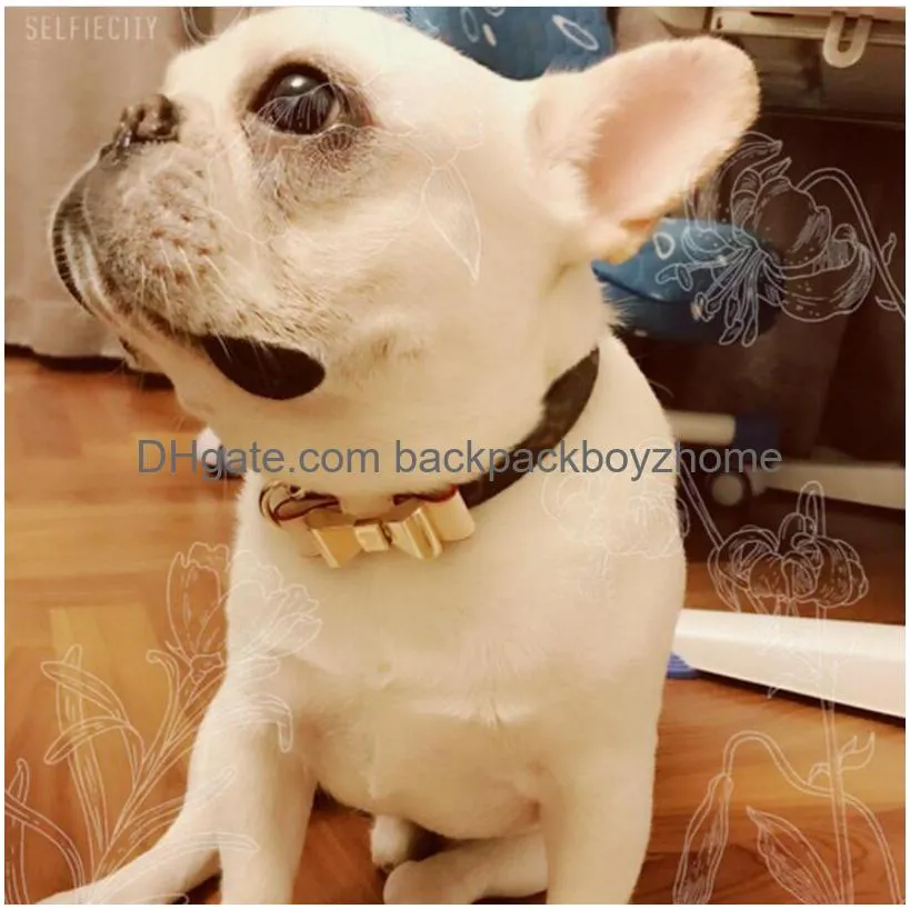Pupreme dog collar sale