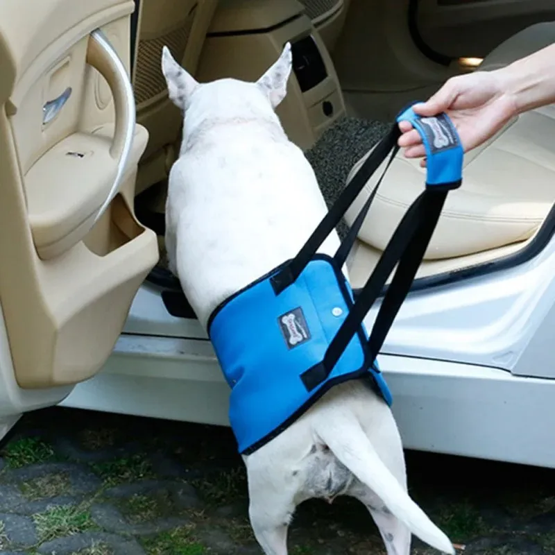 DHgate Adjustable Dog Support Harness Ultimate Aid for Weak Hind Legs Home Garden