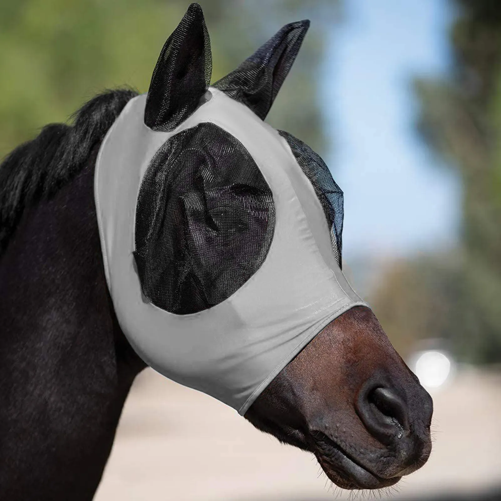 Aazon.co : Fly Boots For Horses Set Of 4, Fine Esh Breathable Horse