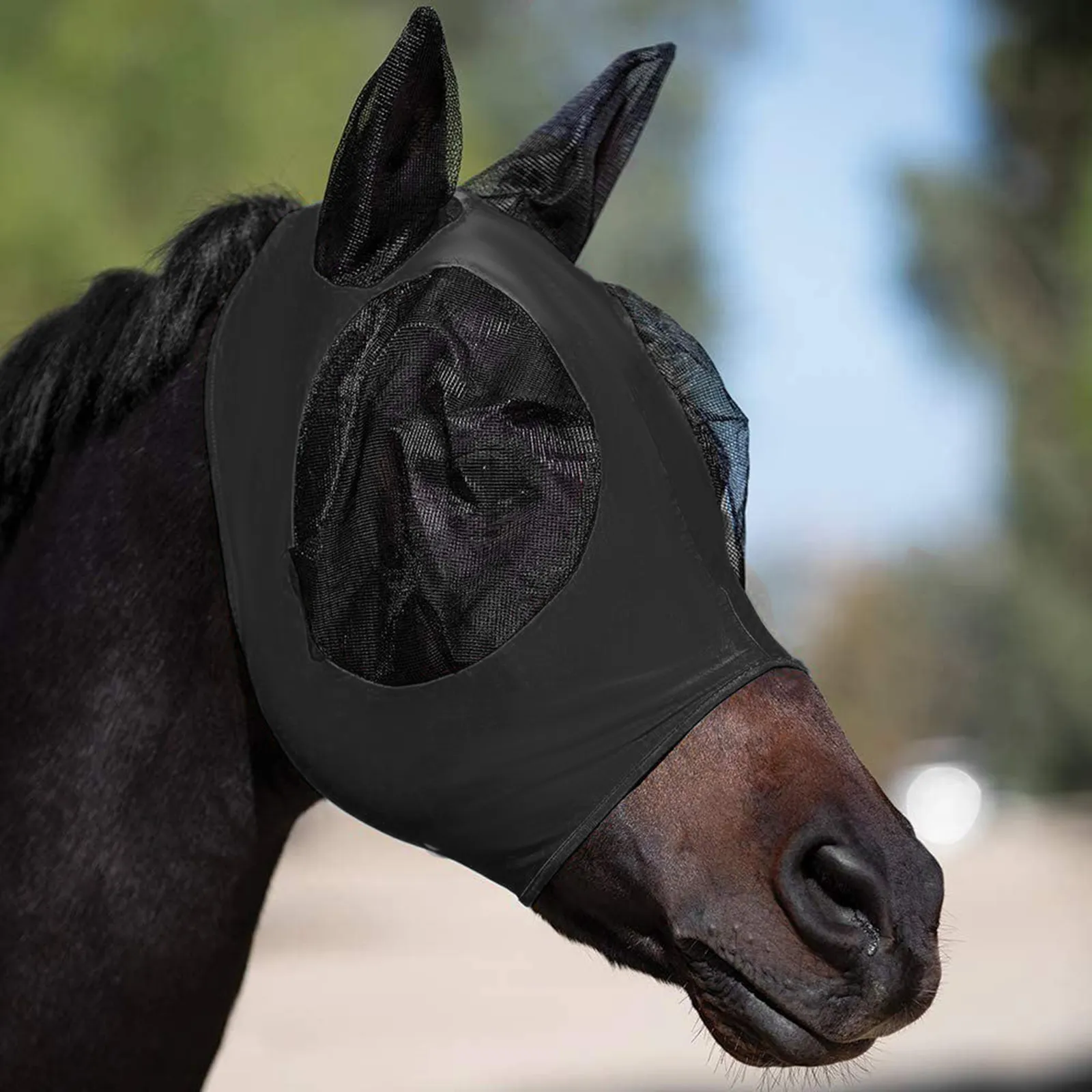 Aazon.co : Fly Boots For Horses Set Of 4, Fine Esh Breathable Horse