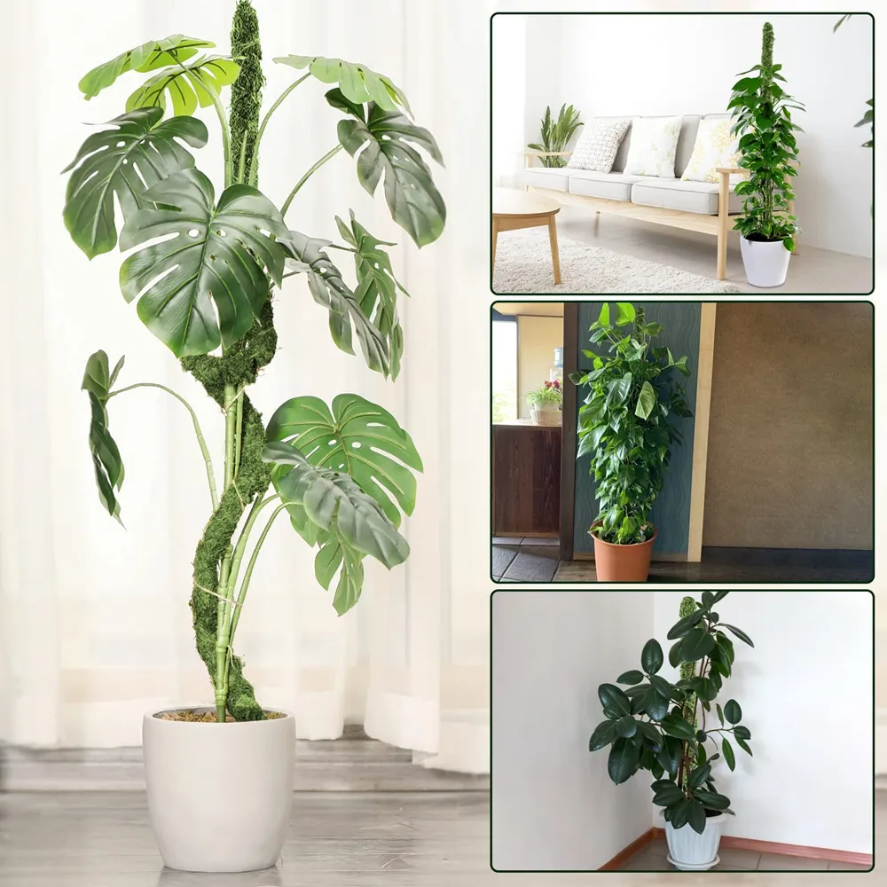 Wholesale Moss Poles Bendable Handmade Slim Plant... From Thainpet, $38.25  | DHgate.Com