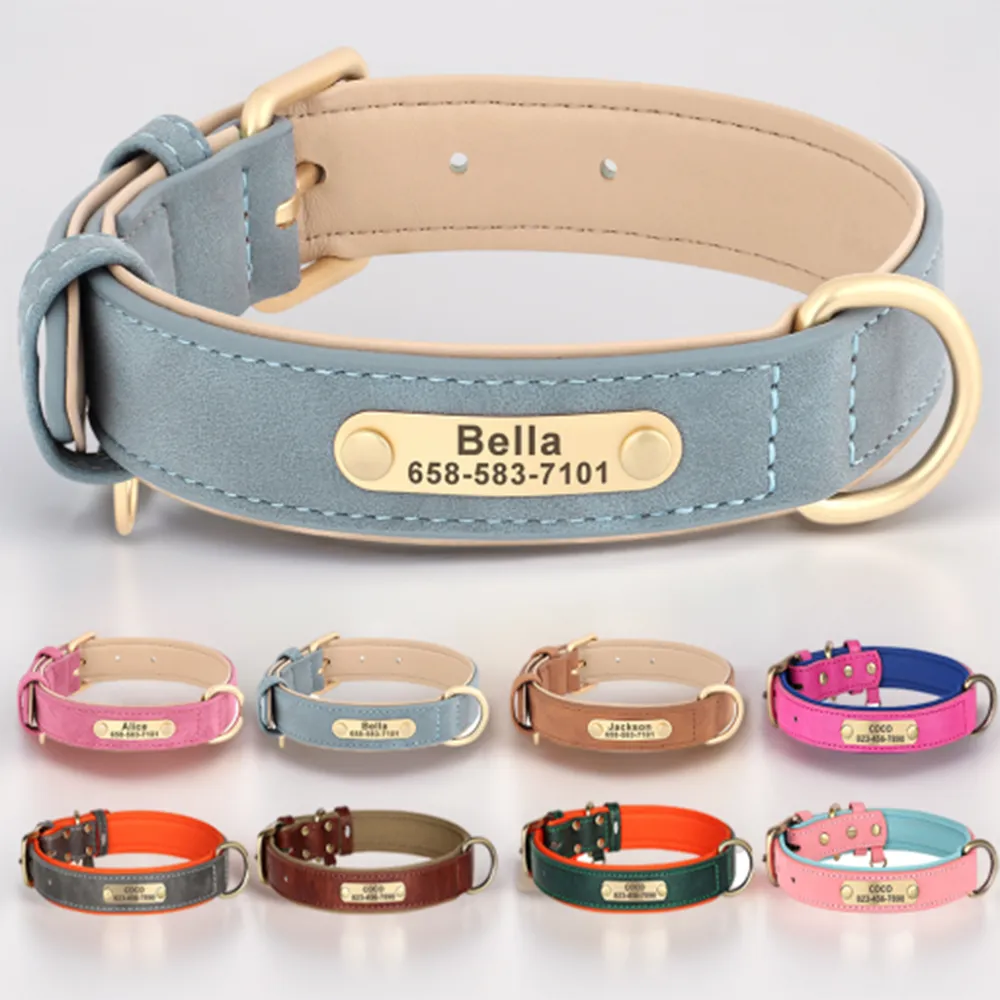 Personalized dog collars leather hot sale