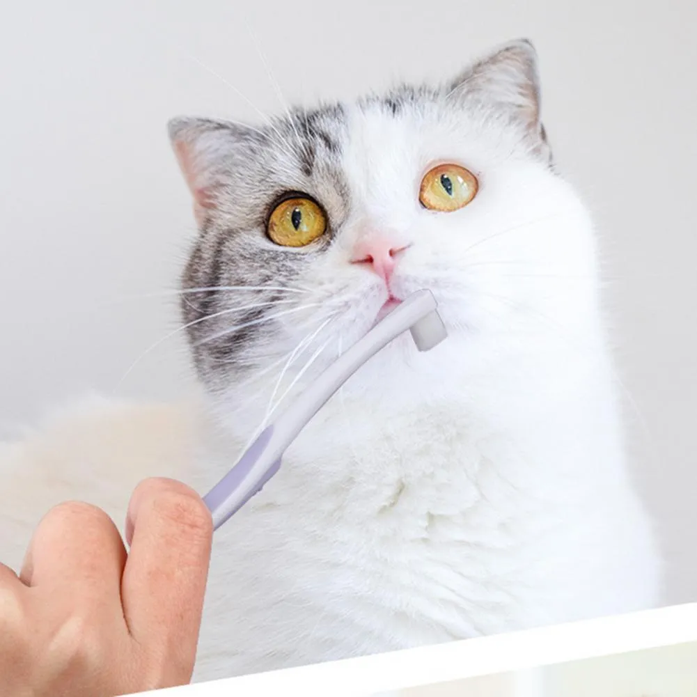 DHgate Small Soft Bristles Pet Toothbrush for Gentle Dog and Cat Oral Care Home Garden