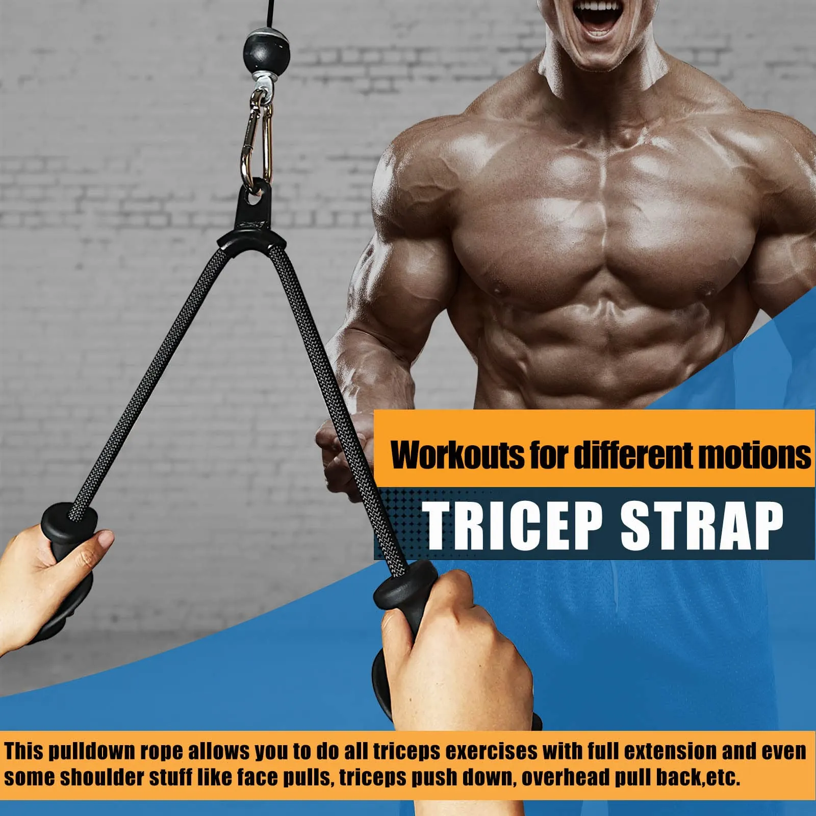 Short head tricep exercises hotsell