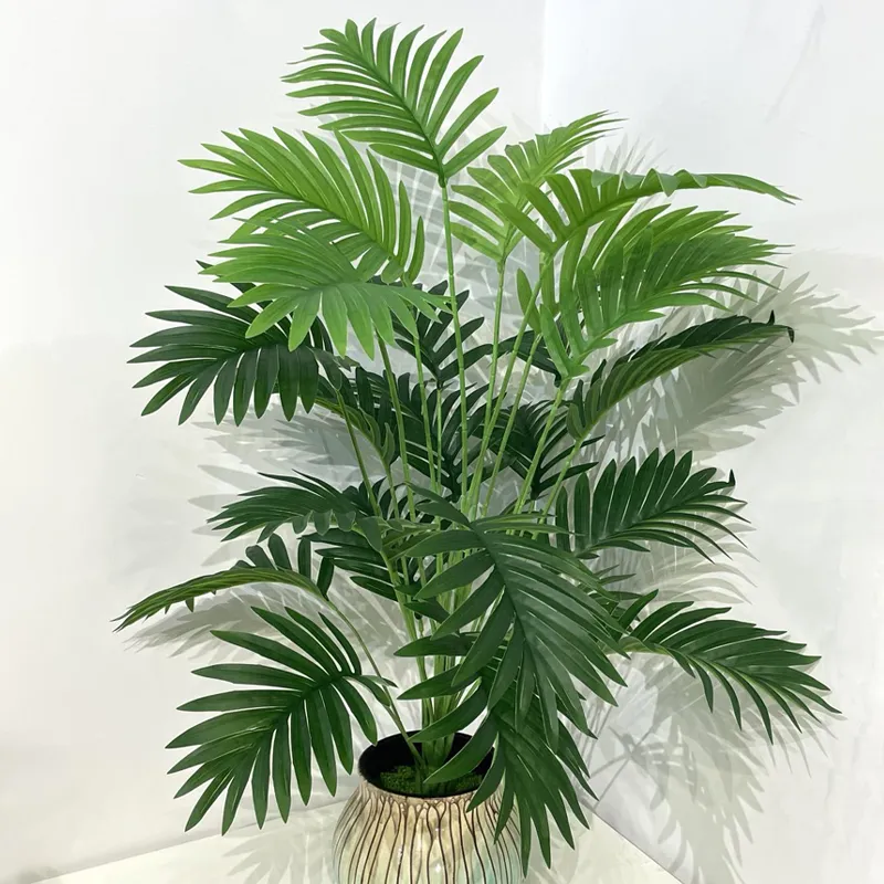 burle marx philodendron in bed 3.5" Philodendron Burle Marx Philodendron Burle Marx Aurea Variegata   Angie's Planties