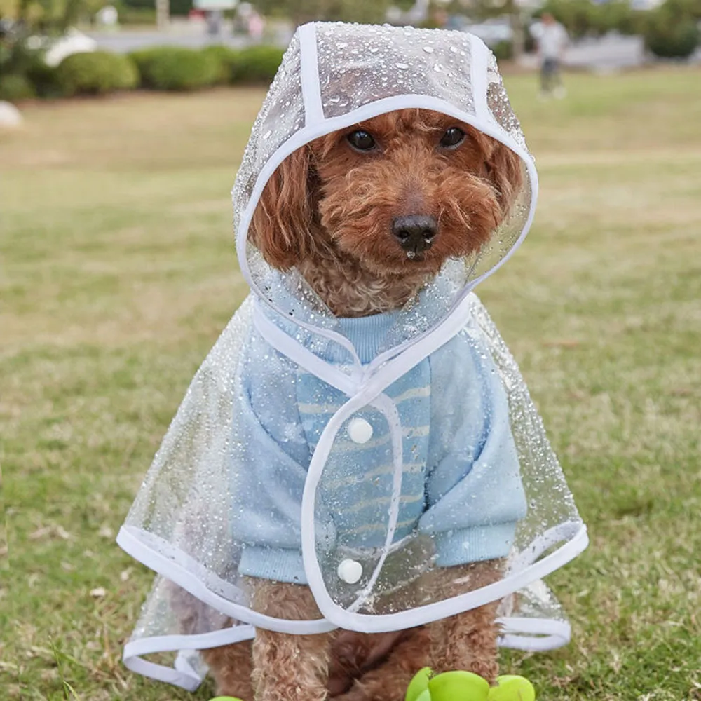 Dog Clothes Best Raincoat For Small Dogs Transparent Dog Raincoat - Main Image