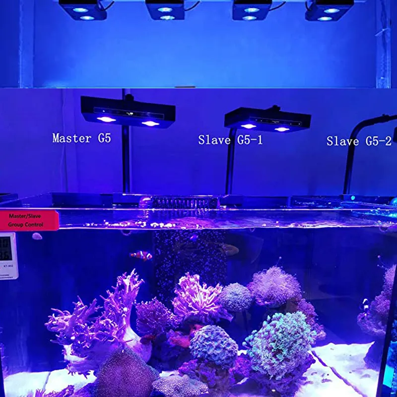 Photo inspiration: Picture Idea: Aqua Star G5 95W Full Spectrum Dimmable Marine Aquarium Coral