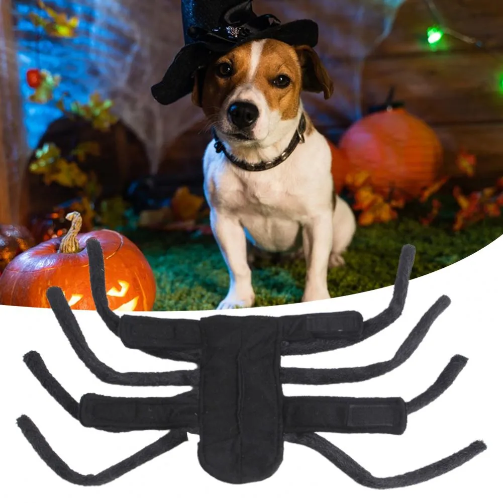 Save Big on Bulk Spider Costume Pet Spider Man Pet Costume For Cats Cat  Halloween Costumes For Pets Halloween Festivities Best Deals on DHgate