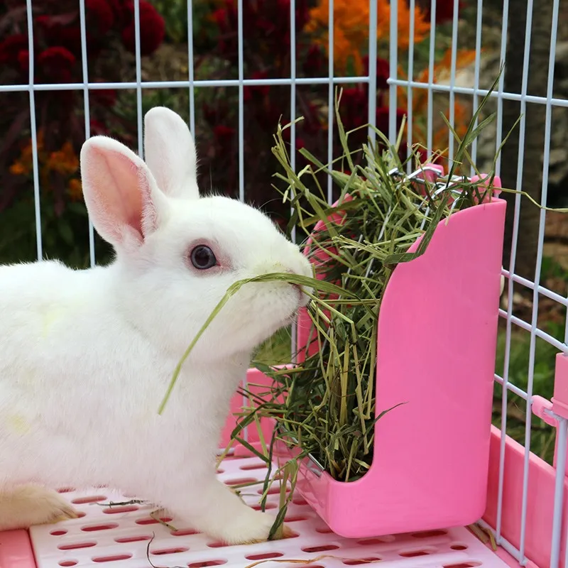 Wholesale Rabbit Hay Feeder Hanging Rabbit Feeder Bunny Cage Hanging Feeder Farm Animal Supplies Metal Green Durable Easy To Clean From Ddmyearth Bulk 15.26 DHgate.Com